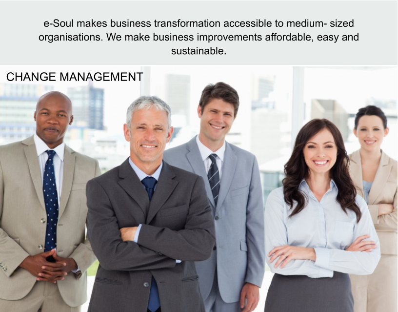e-Soul makes business transformation accessible to medium- sized organisations. We make business improvements affordable, easy and sustainable.  CHANGE MANAGEMENT